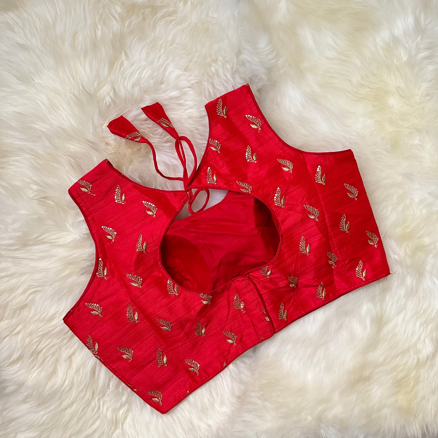 Classic Red Raw Silk Blouse with Golden Aari Embroidery